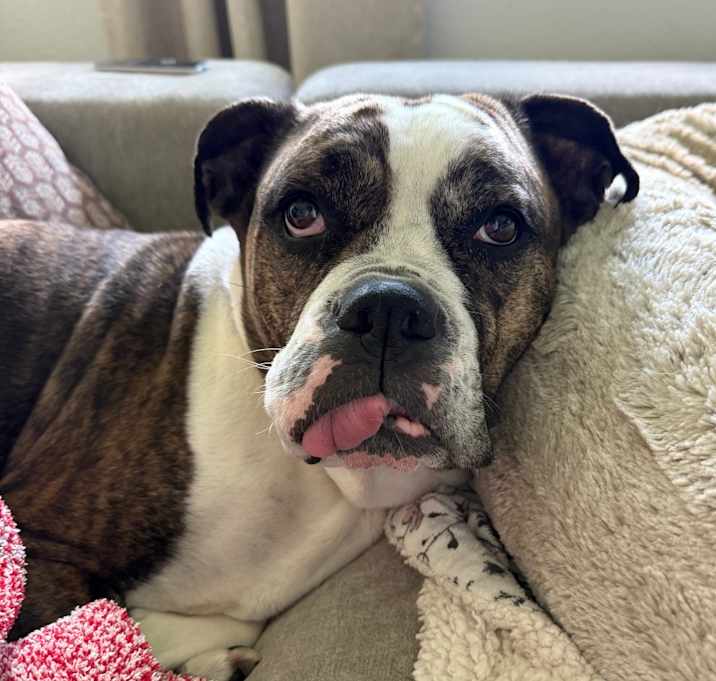 Photo of Dottie