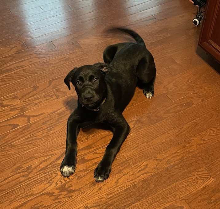 Photo of Storm
