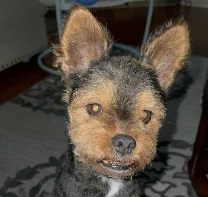 Photo of Chuy