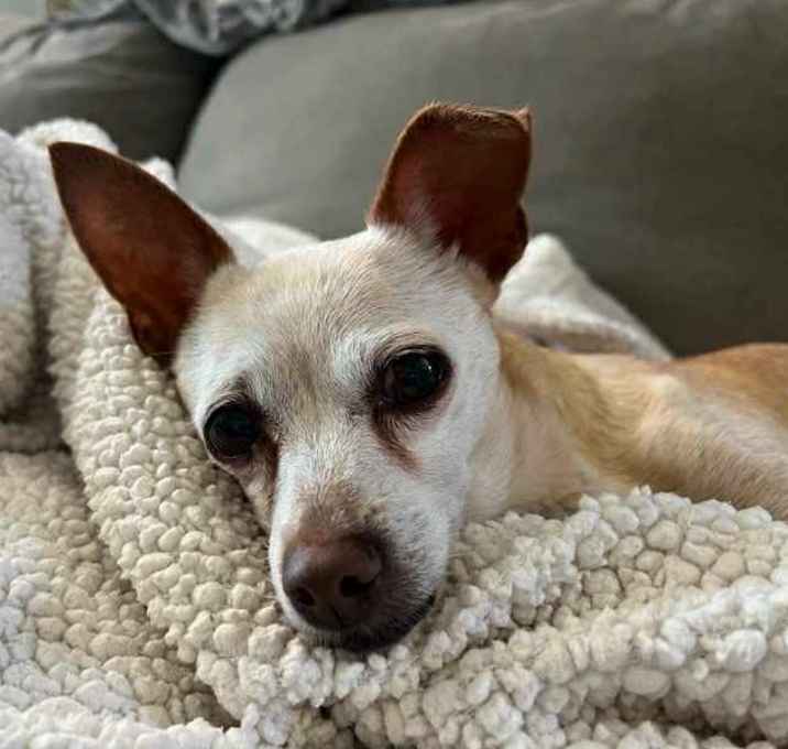 Photo of Olivia