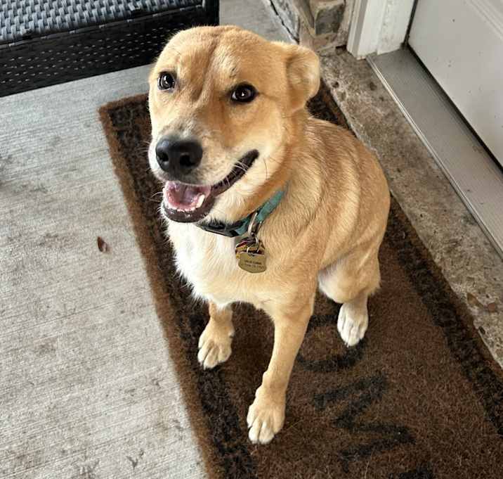 Photo of Cooper