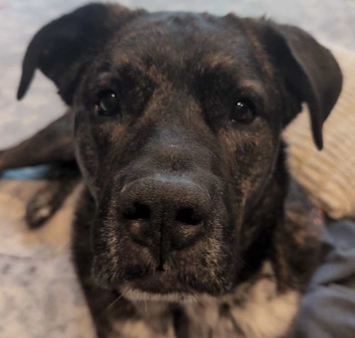 Photo of Bruce