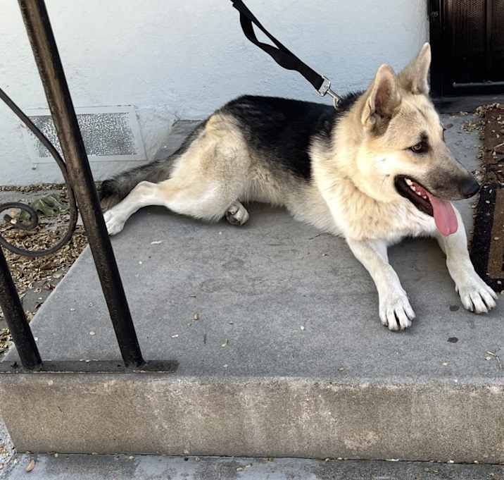 Photo of Roxie