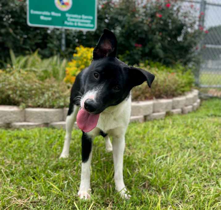 Photo of Mia