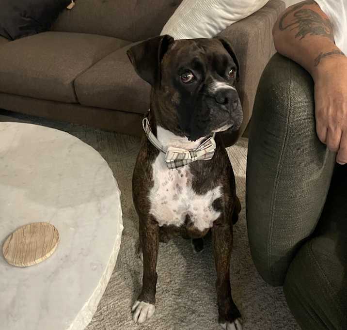 Photo of Buster