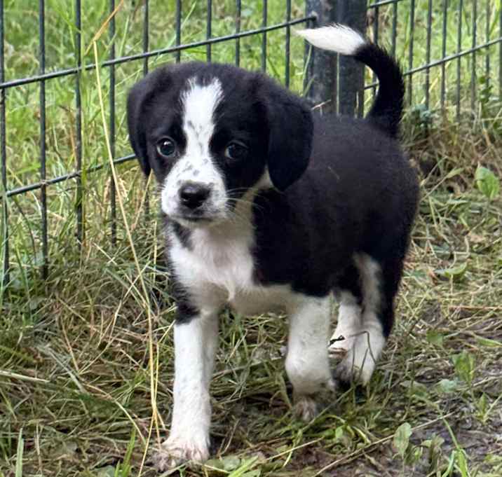 Photo of Keiko 