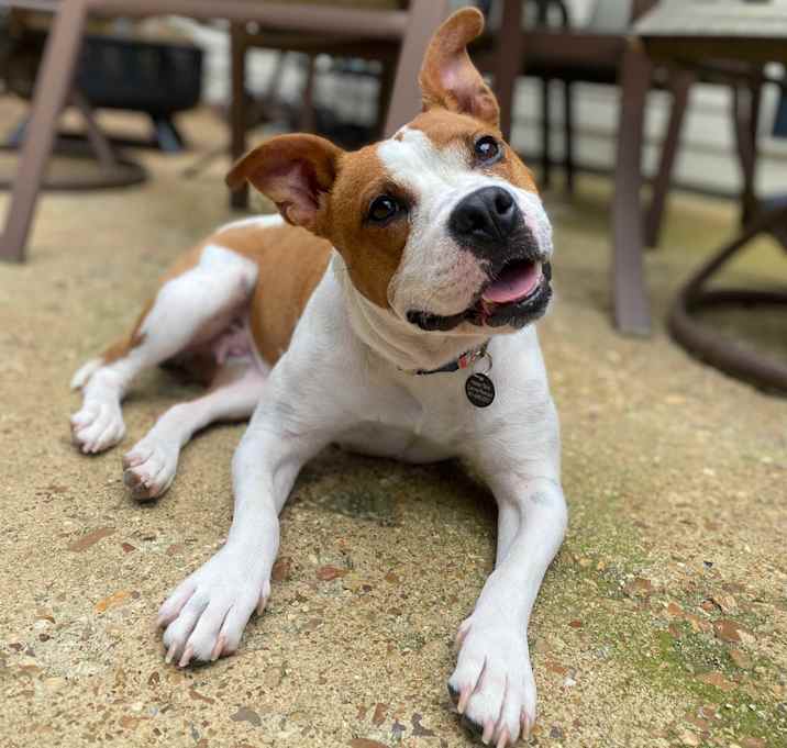 Photo of Matilda