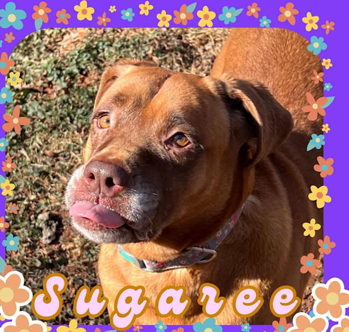 Photo of Sugaree