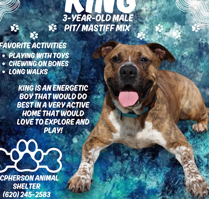 Photo of King