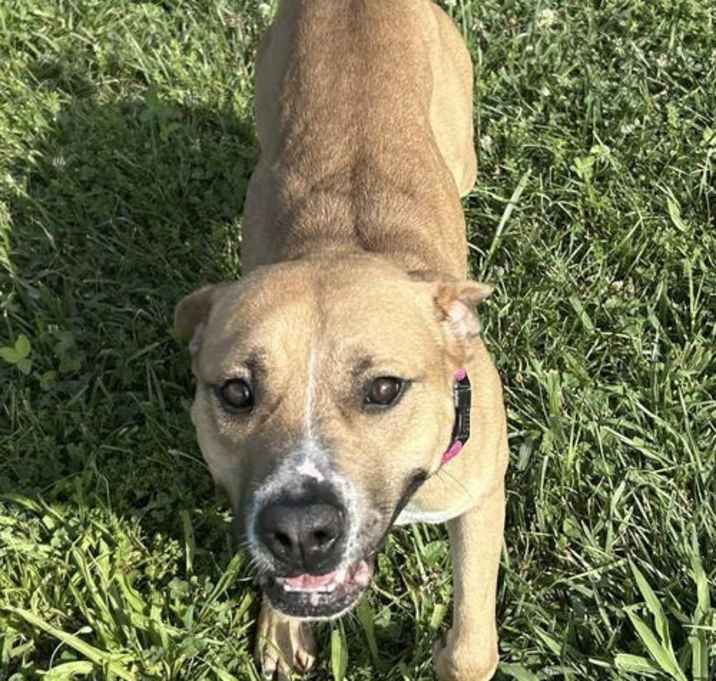 Photo of Mama Mia