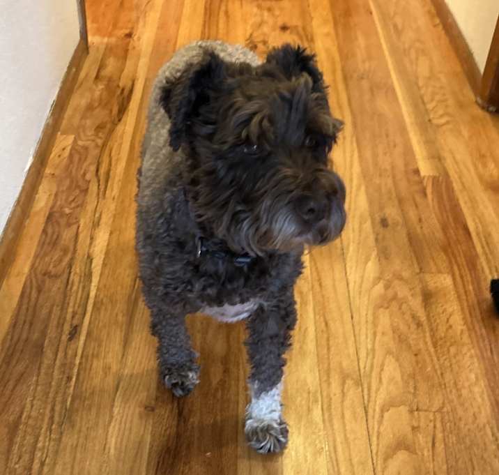 Photo of Rosco