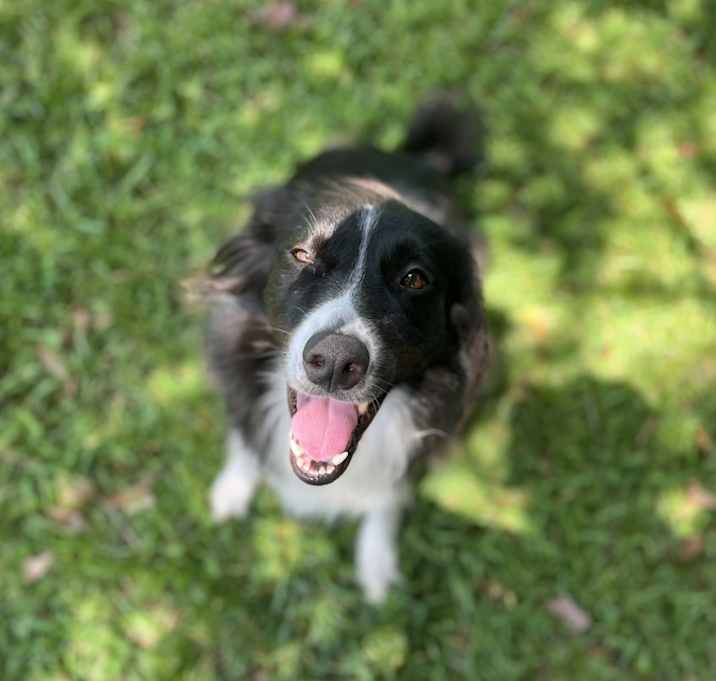 Photo of Freyja