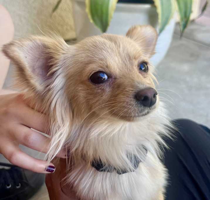 Photo of Beverly