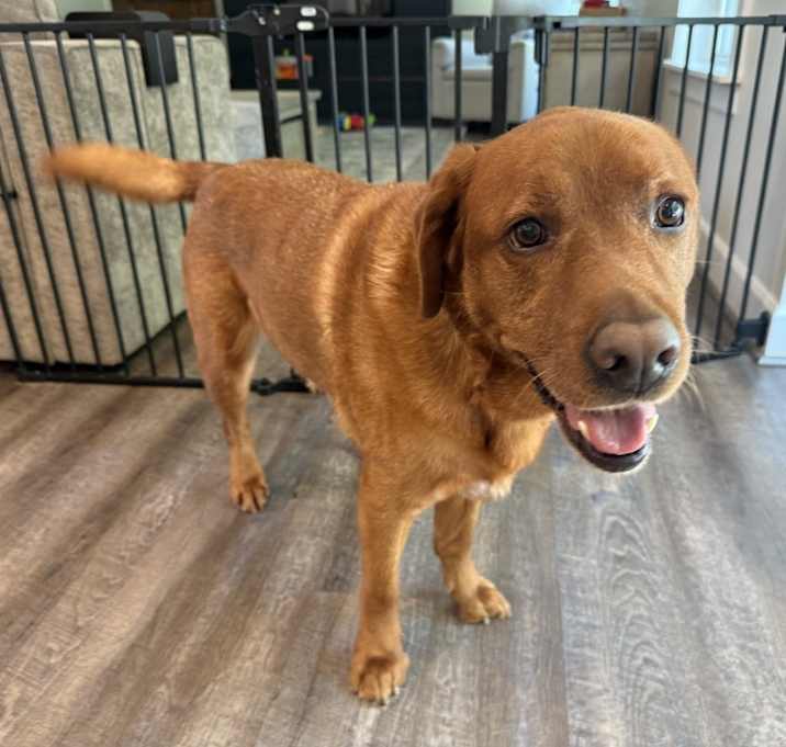 Photo of Tucker