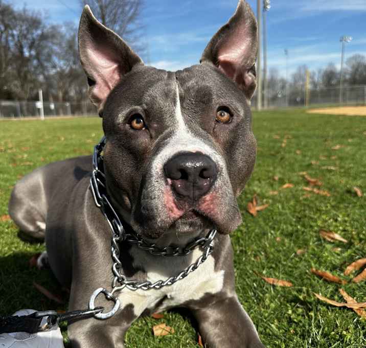 Photo of Dixxon