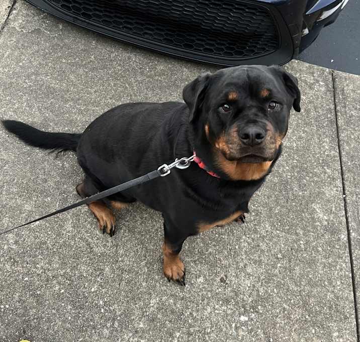 Photo of Xena