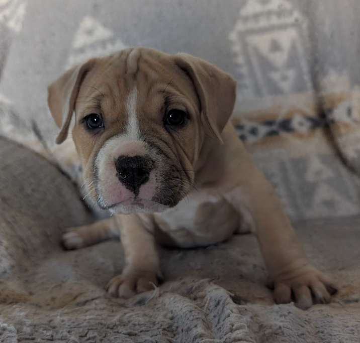 Photo of Hazel