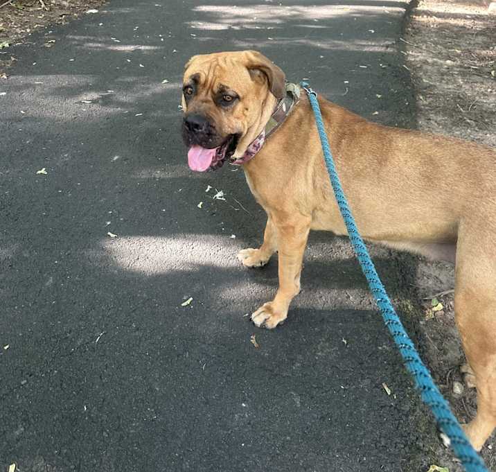 Photo of Molly