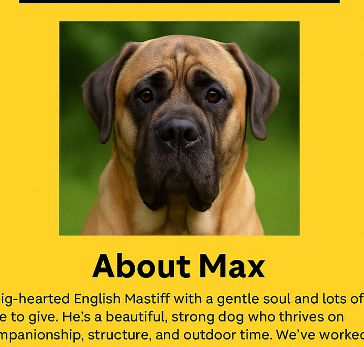 Photo of Max