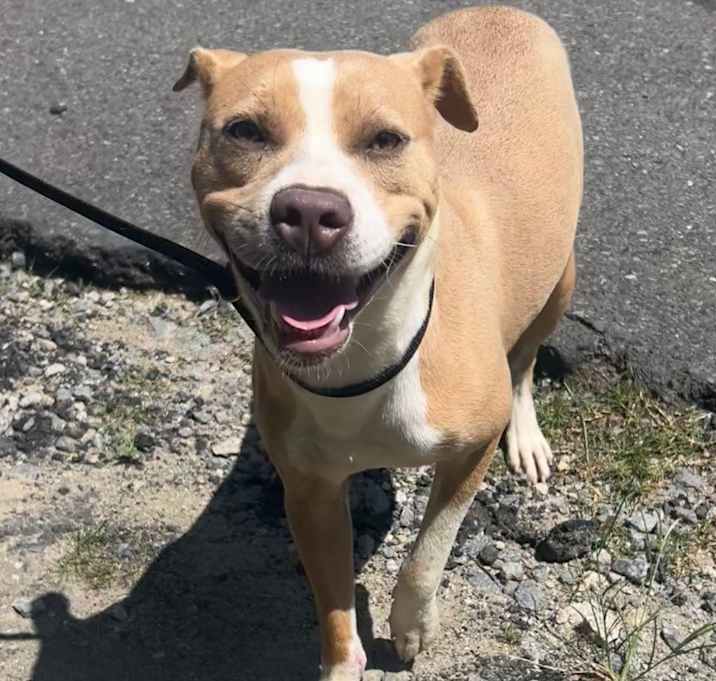 Photo of Winnie