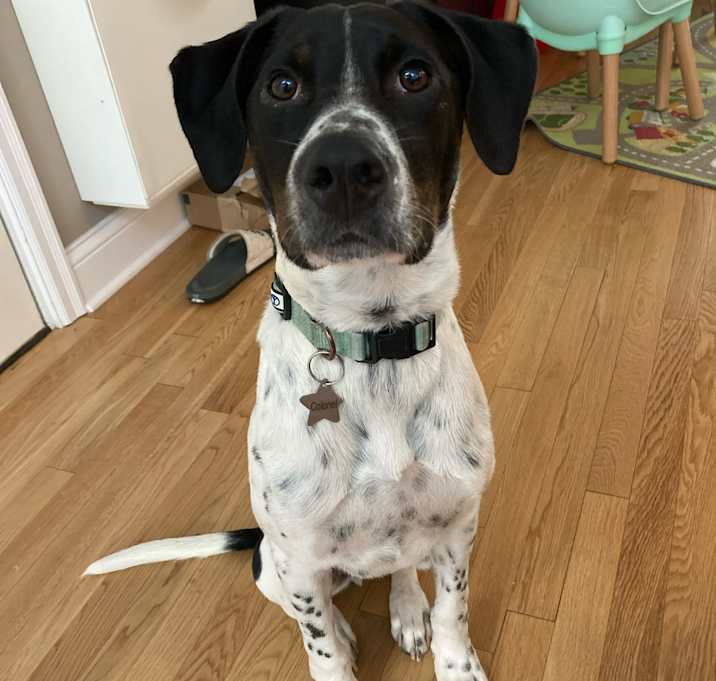 Photo of Colonel