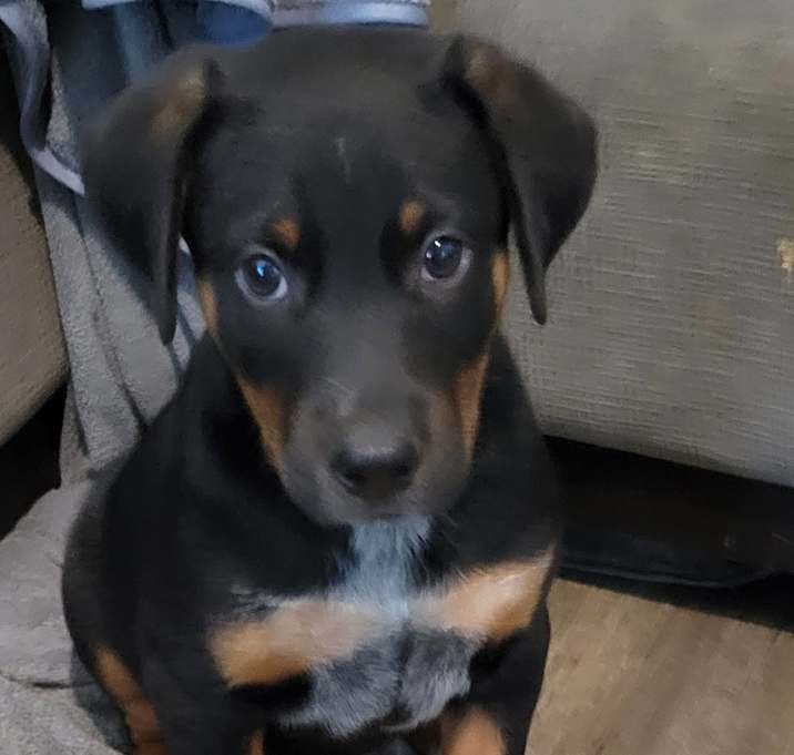 Photo of Ernie