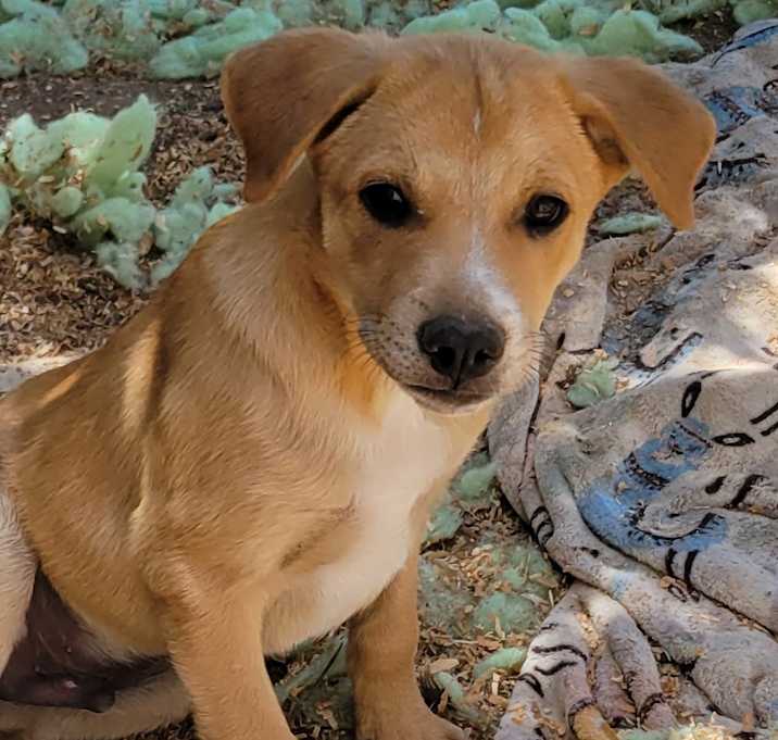 Photo of Zephyr