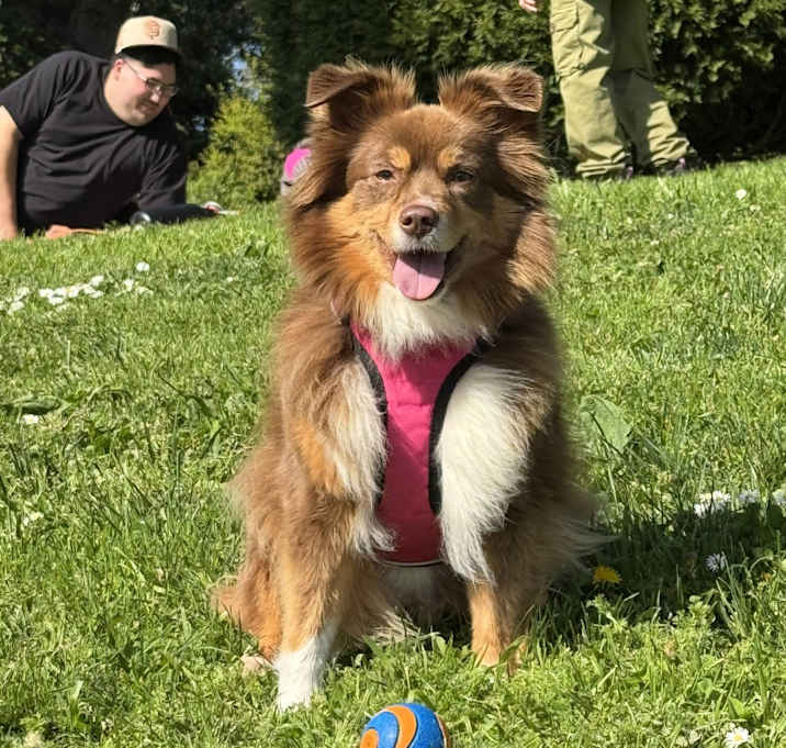 Photo of Eevee