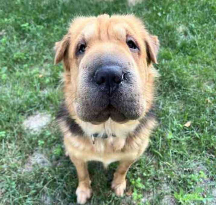 Photo of Delilah