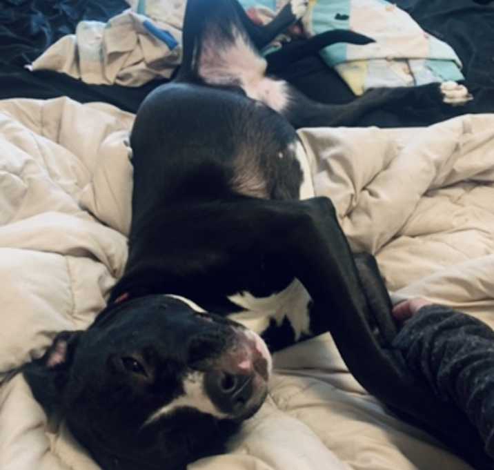 Photo of Bonnie