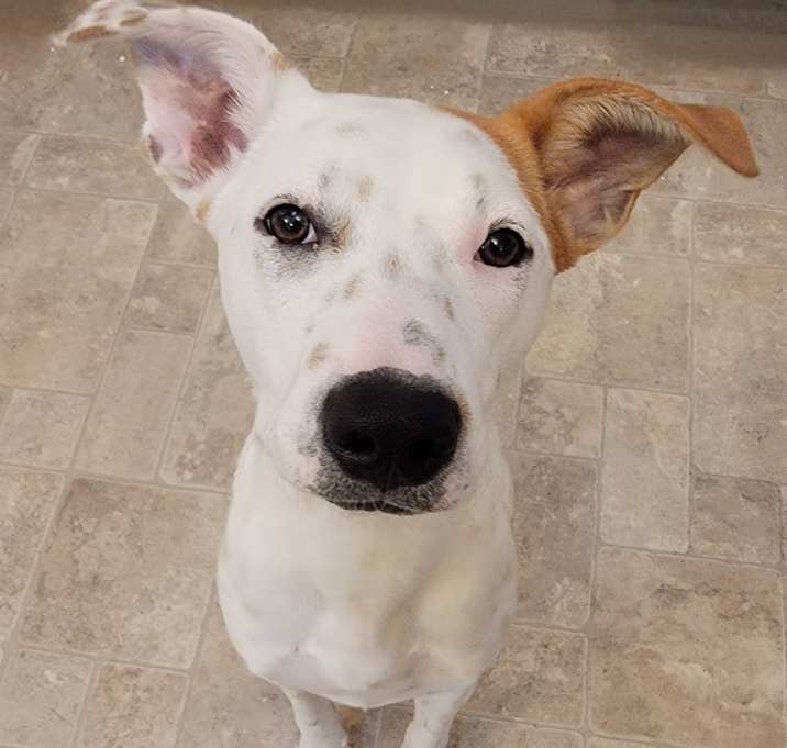 Photo of Emmy