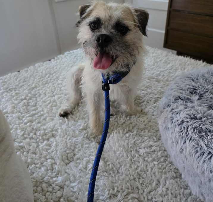 Photo of Luna