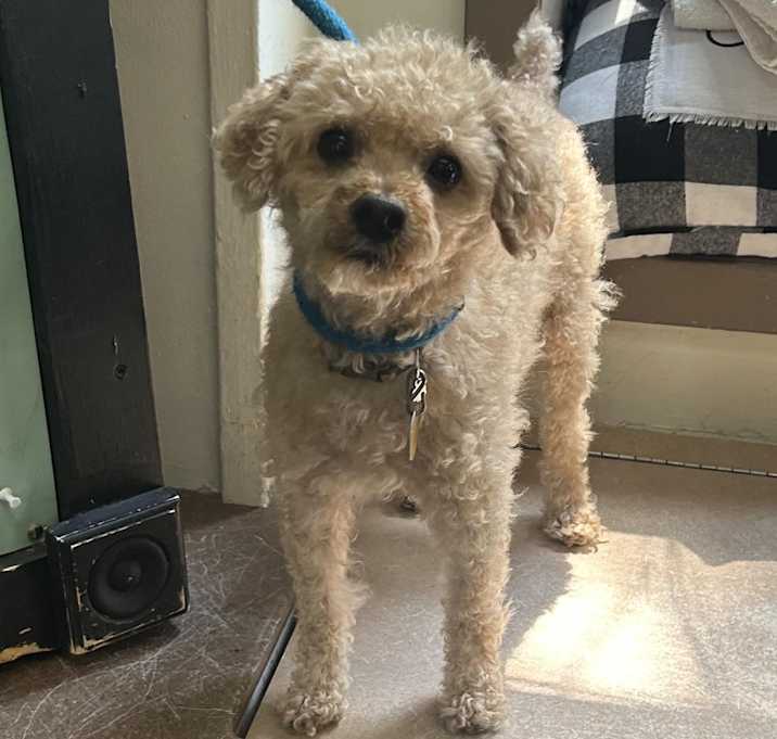 Photo of Astro