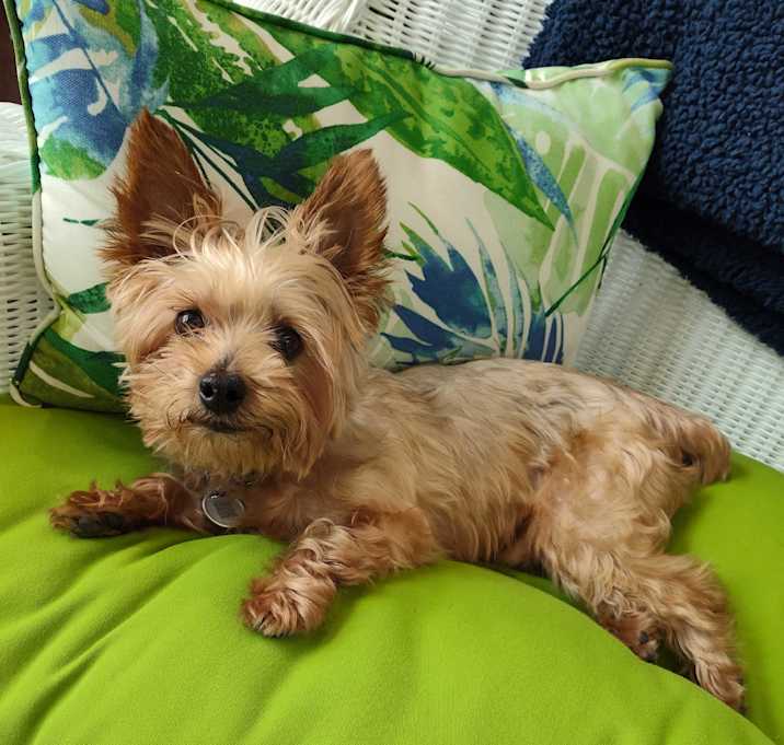 Photo of Toker