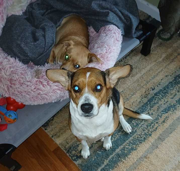 Photo of Sammie
