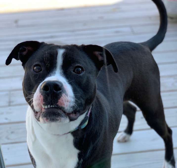 Photo of Tootsie