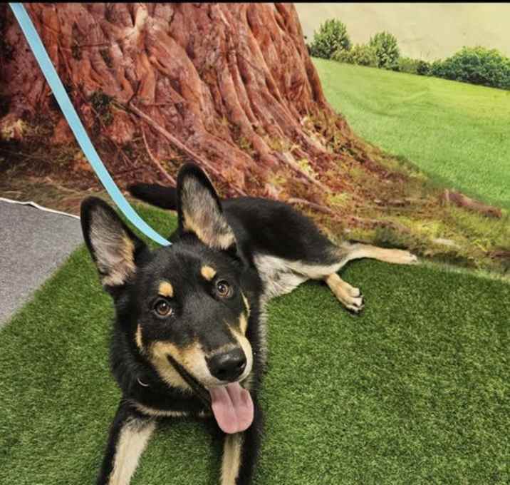 Photo of Cisco