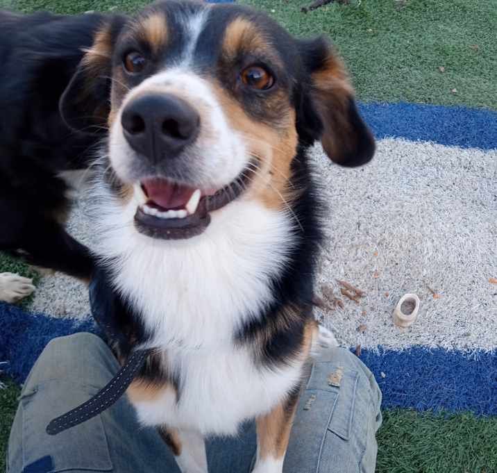 Photo of Charlie