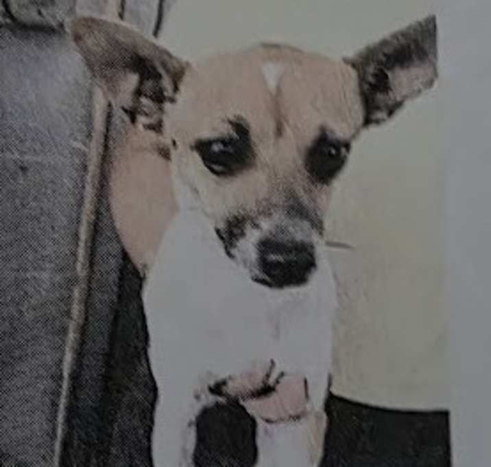 Photo of Katie 1