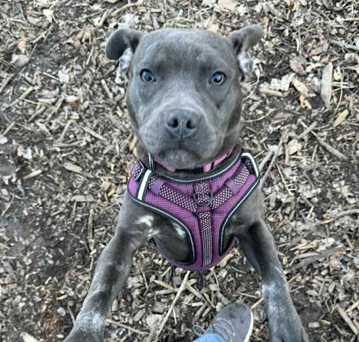 Photo of Maggie