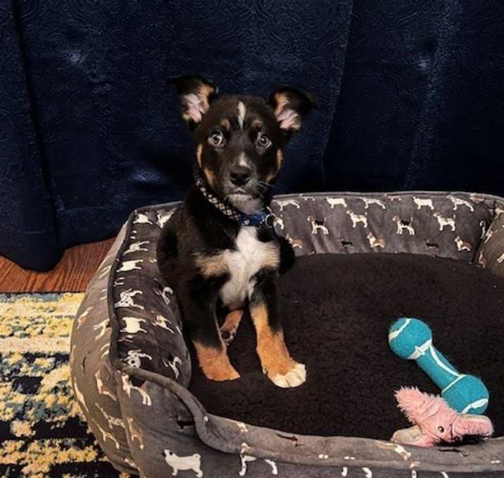 Photo of Ben