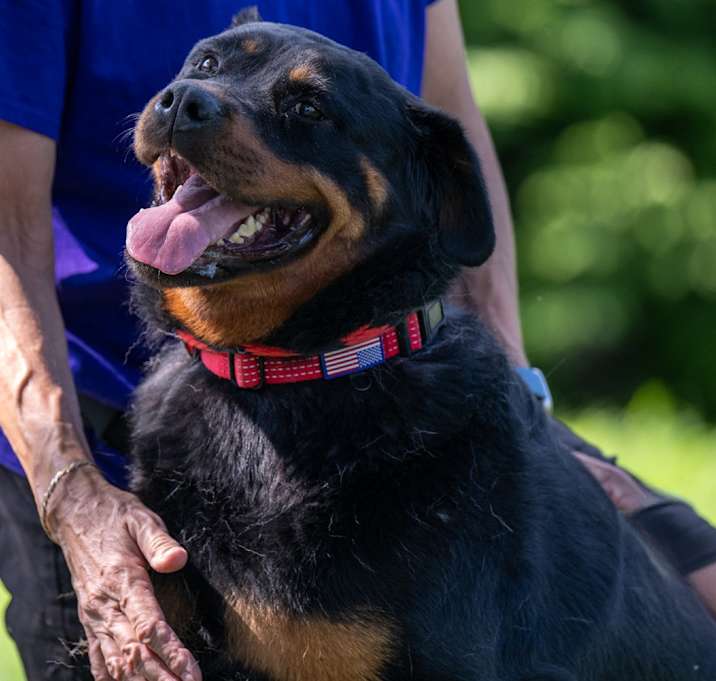 Photo of Ruby