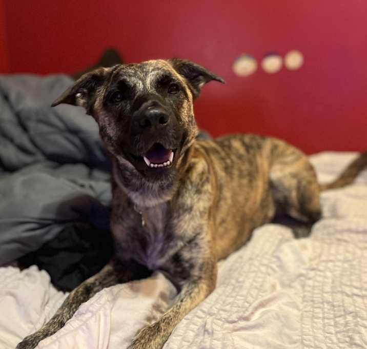 Photo of Luna