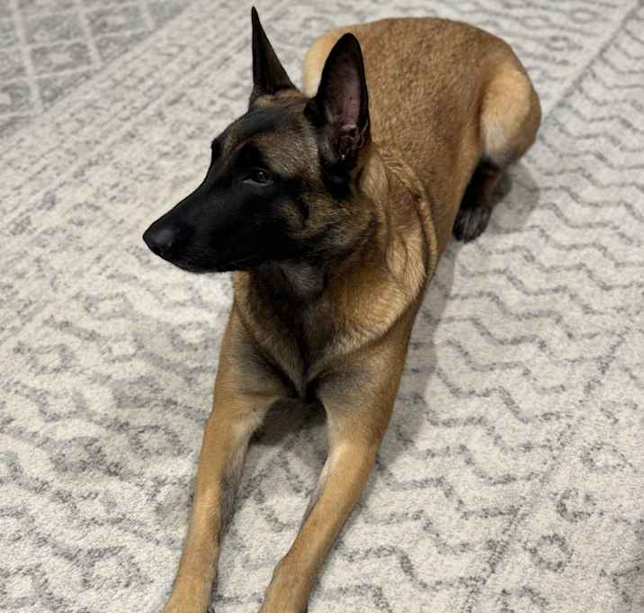 Photo of Chopper