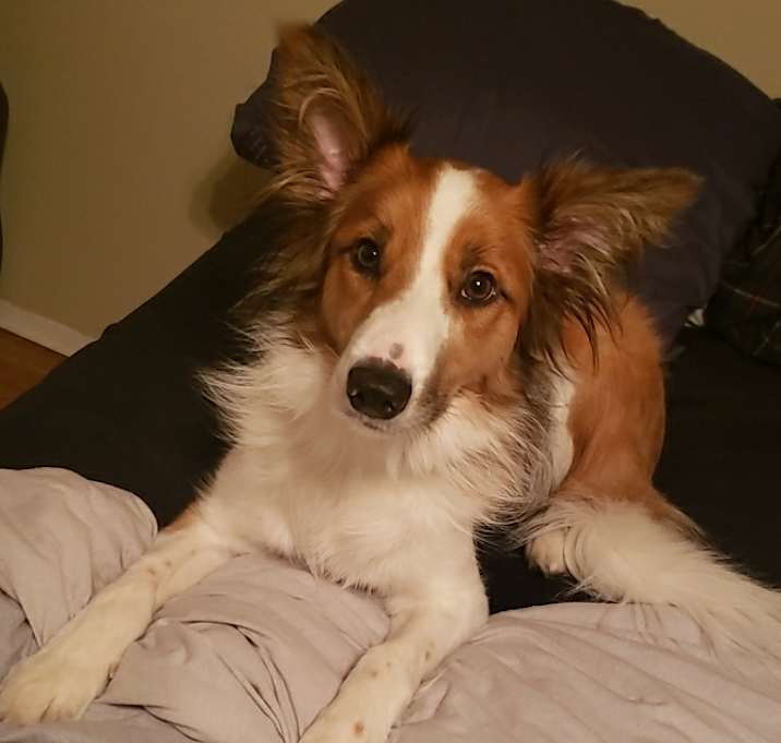 Photo of Marty