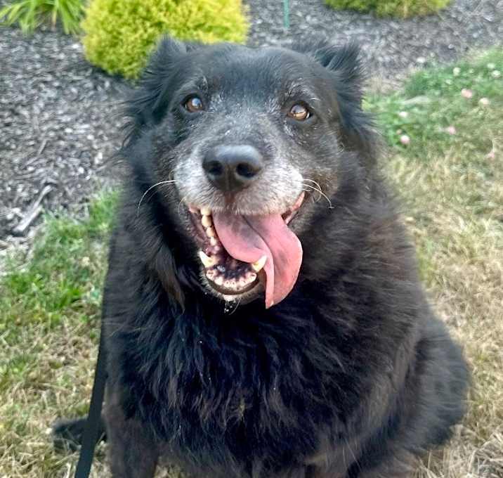 Photo of Libby
