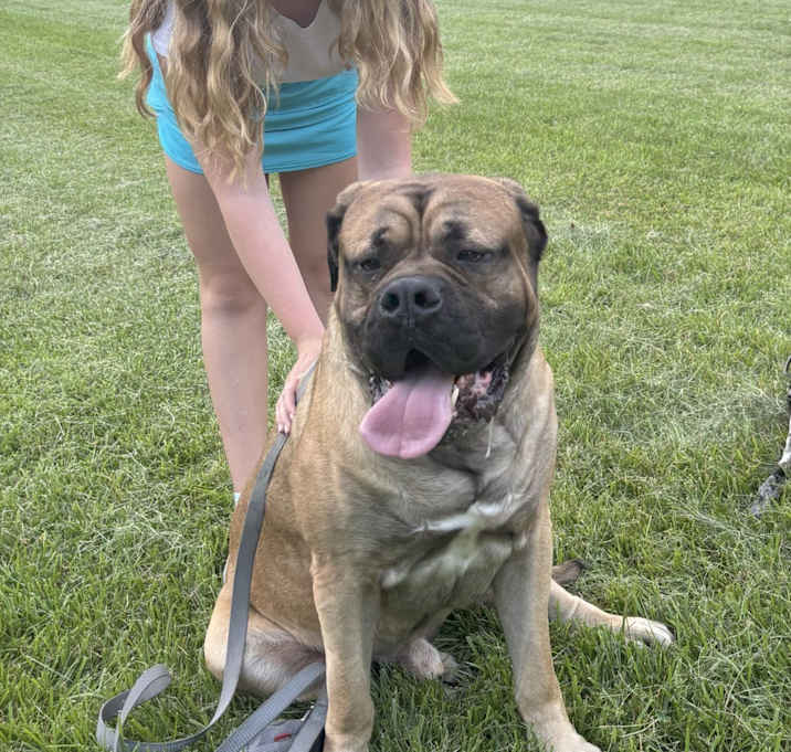Photo of Hercules
