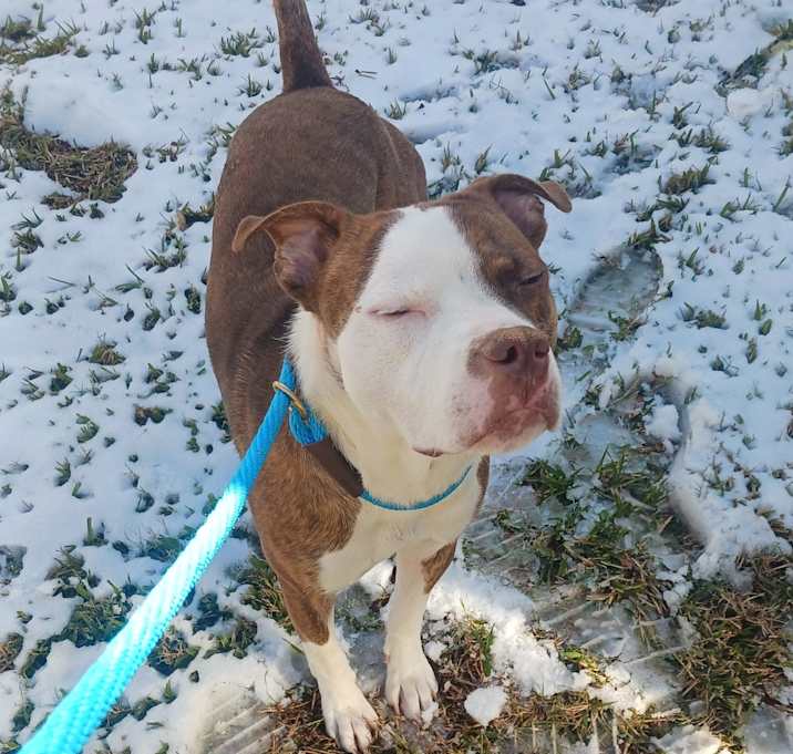 Photo of Unknown, but calling him Jack
