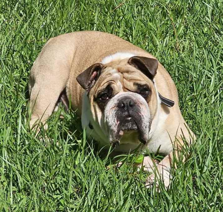 Photo of Duncan