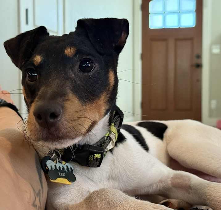 Photo of Lex